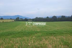 TERRENO AGRICOLO COLTIVATO PIANEGGIANTE