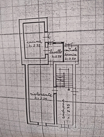Negozio di alimentari