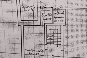 Negozio di alimentari