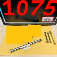 PERNO FORCELLONE E PERNI MOTORE FANTIC TRIAL 200 F