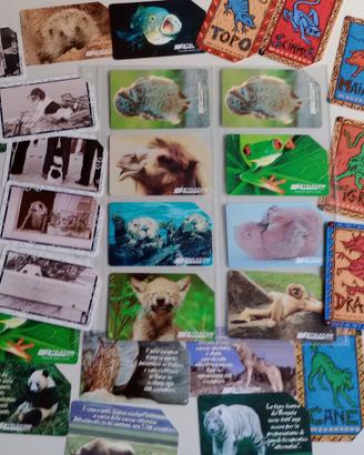 Schede carte telefoniche Animali 4 serie different