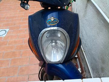 scudo anteriore  Malaguti con faro e frecce
