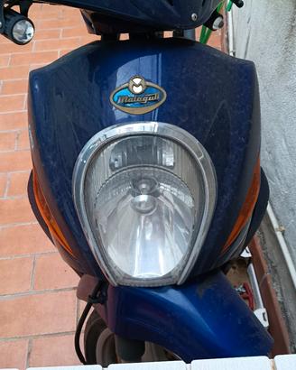scudo anteriore  Malaguti con faro e frecce