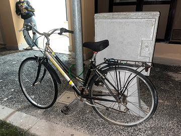 Bici da passeggio