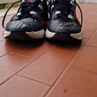 Nike Zoom Freak 5 basketball shoes.