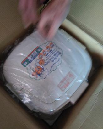 forno portatile 