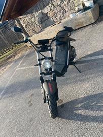 Scooter elettrico E-SCOOTER marca DAYI E Thor 6.0B