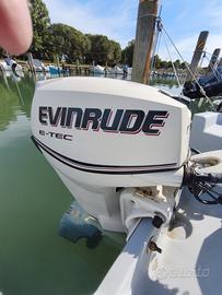 Motore Evinrude e tec 25 hp