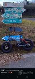bicicletta elettrica 