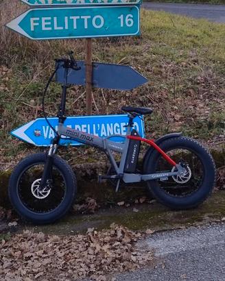 bicicletta elettrica 