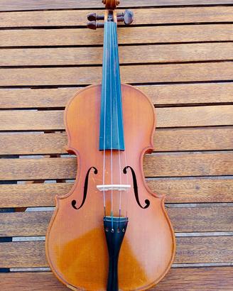 violino 