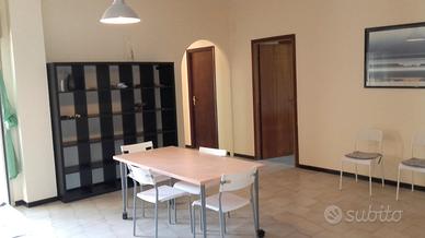 Singola zona cittadella universitaria policlinico