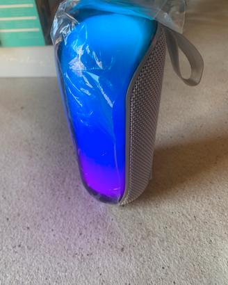 Speaker portatile
