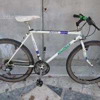 Bianchi scout