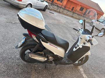 Sh 300 sport