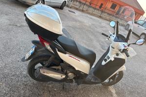 Sh 300 sport