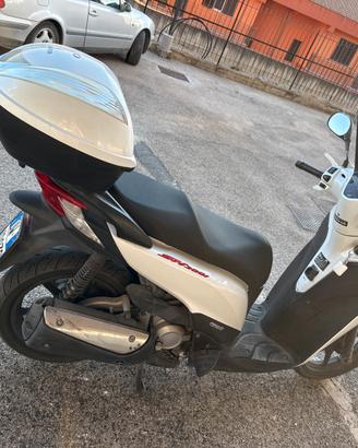 Sh 300 sport