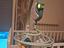 Immagine 2
