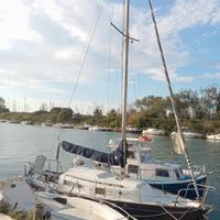 Barca Alpa 7