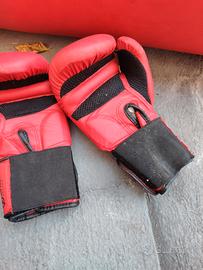 Guantoni Boxe Bambino Domyos 100 - 6 oz - Rossi