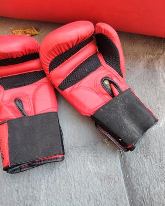 Guantoni Boxe Bambino Domyos 100 - 6 oz - Rossi