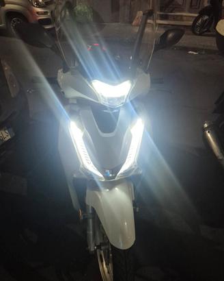 sh 125 anno 2019