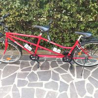 Bianchi spillone