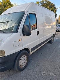 fiat ducato max