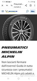 Gomme invernali Alpin 6