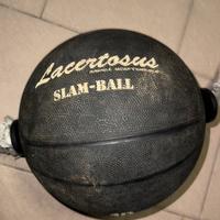 Palla Medica Slam Ball Lacertosus