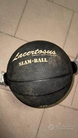 Palla Medica Slam Ball Lacertosus