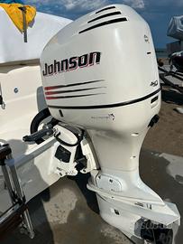 Jonhson 150 v6
