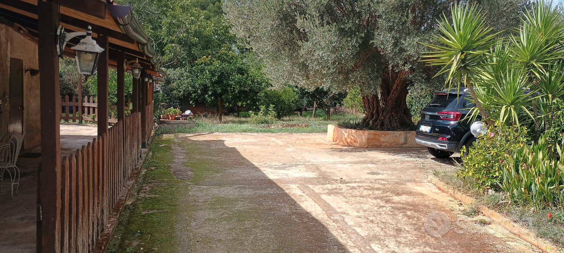 Francesco - Vista 3