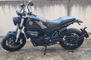  benelli leoncino 500