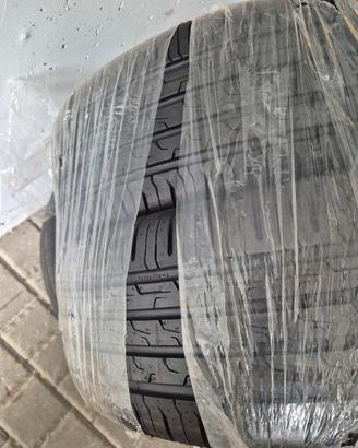 gomme estive 
