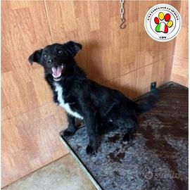 ELIO hai solo 8 mesi