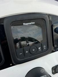 Raymarine dragonfly 4