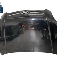 COFANO ANTERIORE HYUNDAI Tucson Serie (04>09)