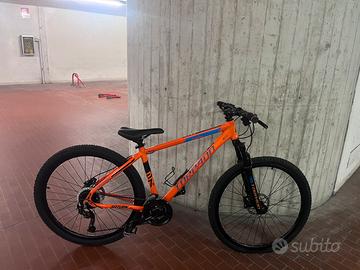 Bicicletta