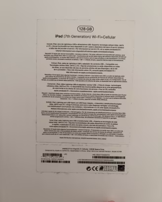 IPad Apple 7^ generazione