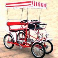 bici riscio 4 ruote con tendlino intatto