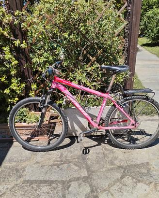 MTB Specialized