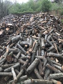 Legna da ardere stagionata