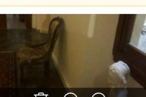 Grande stanza (di fatto monolocale) per ragazza