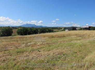 Terreno Agricolo Calvi [A4346608]