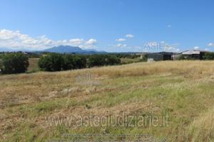 Terreno Agricolo Calvi [A4346608]