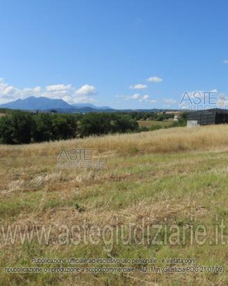 Terreno Agricolo Calvi [A4346608]