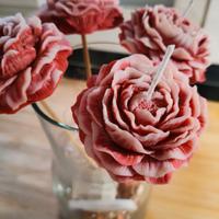 Candele segnaposto o bomboniera Laurea /18