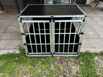 Box cani