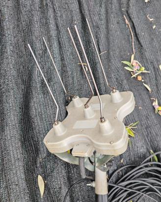Abbacchiatore Elettroscuotitore Arpi  Meccanica